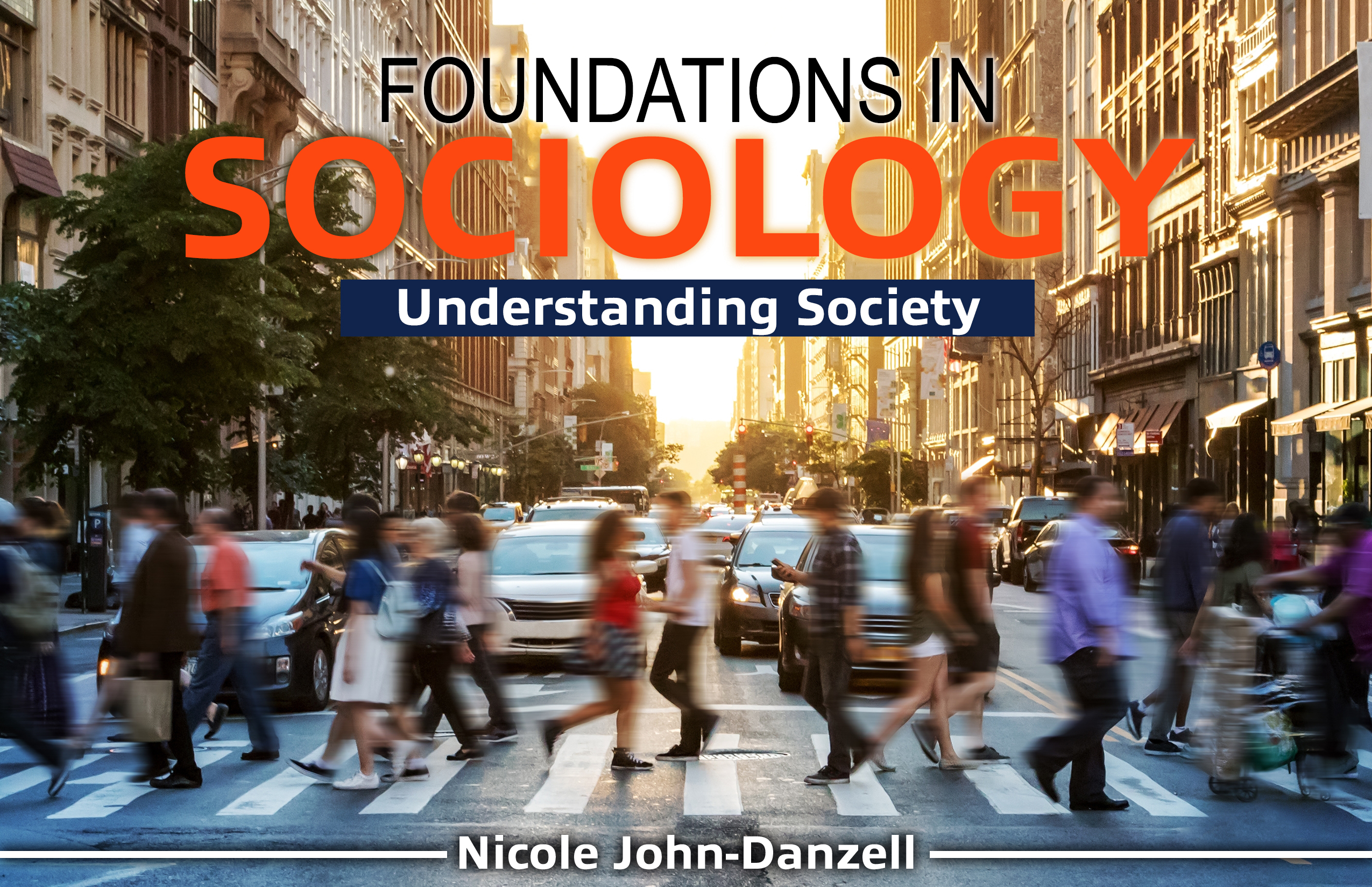 Foundations in Sociology: Understanding Society