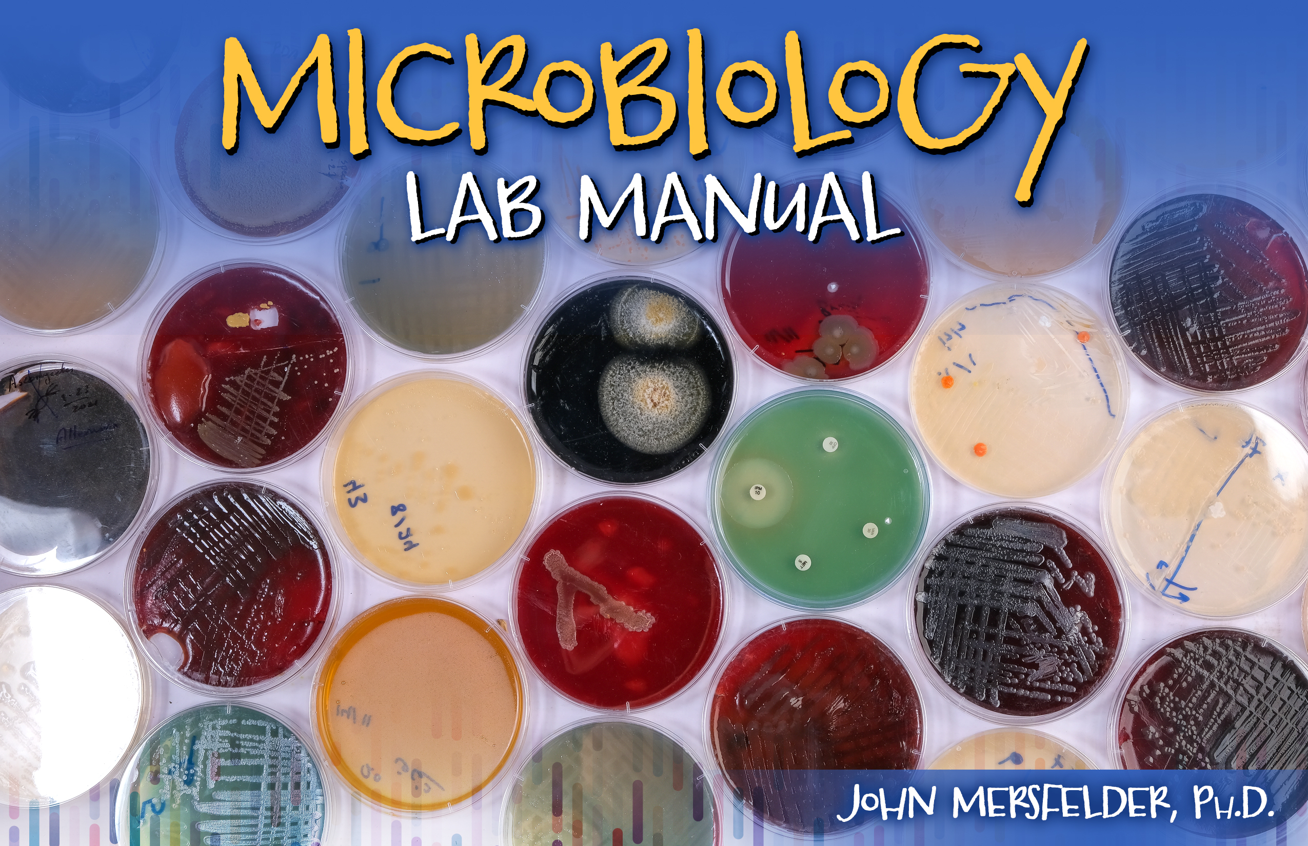 Microbiology Lab Manual
