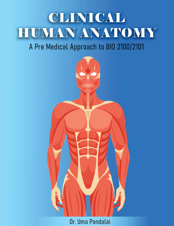 Human Anatomy