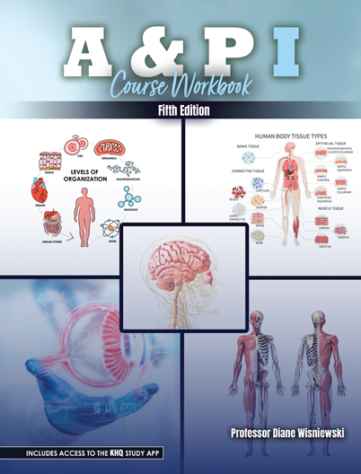 A & P: I Course Workbook