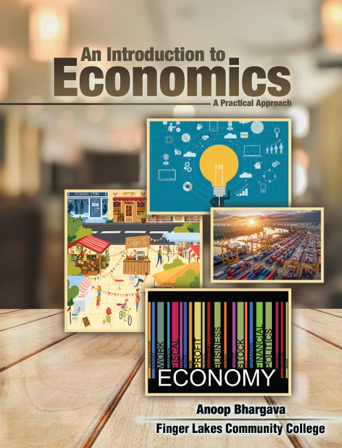 An Introduction to Economics: A Practical Approach