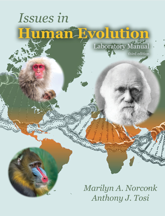 Issues in Human Evolution Lab Manual