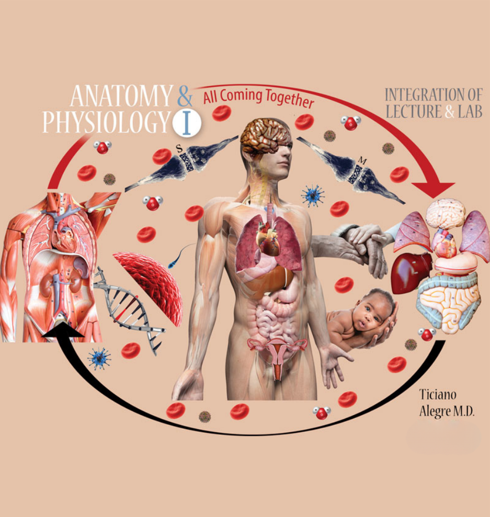 Anatomy & Physiology I: All Coming Together