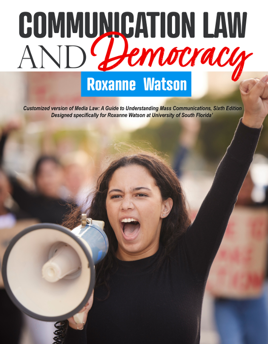 Communication Law and Democracy