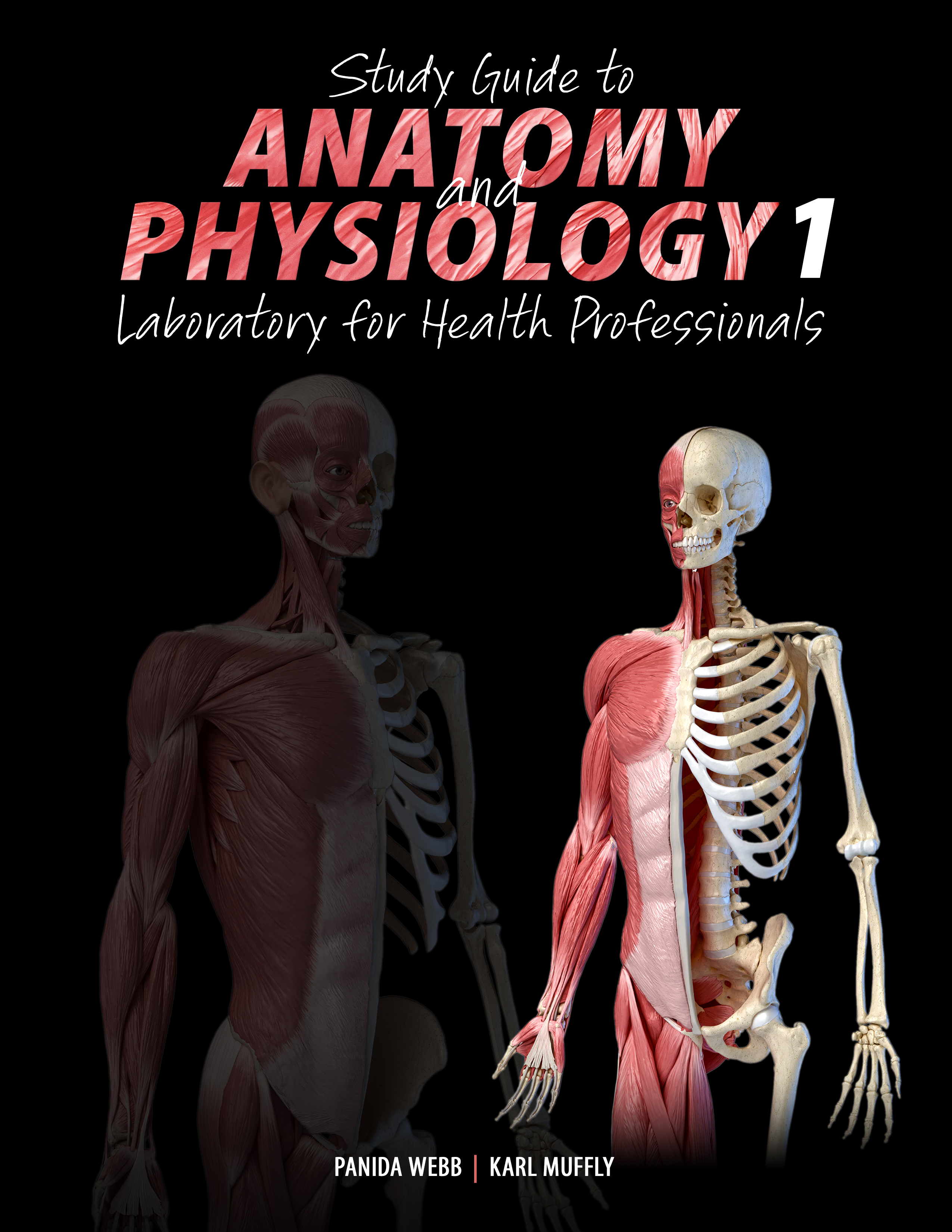 Study Guide to Anatomy and Physiology I: Laboratory for Health Professionals