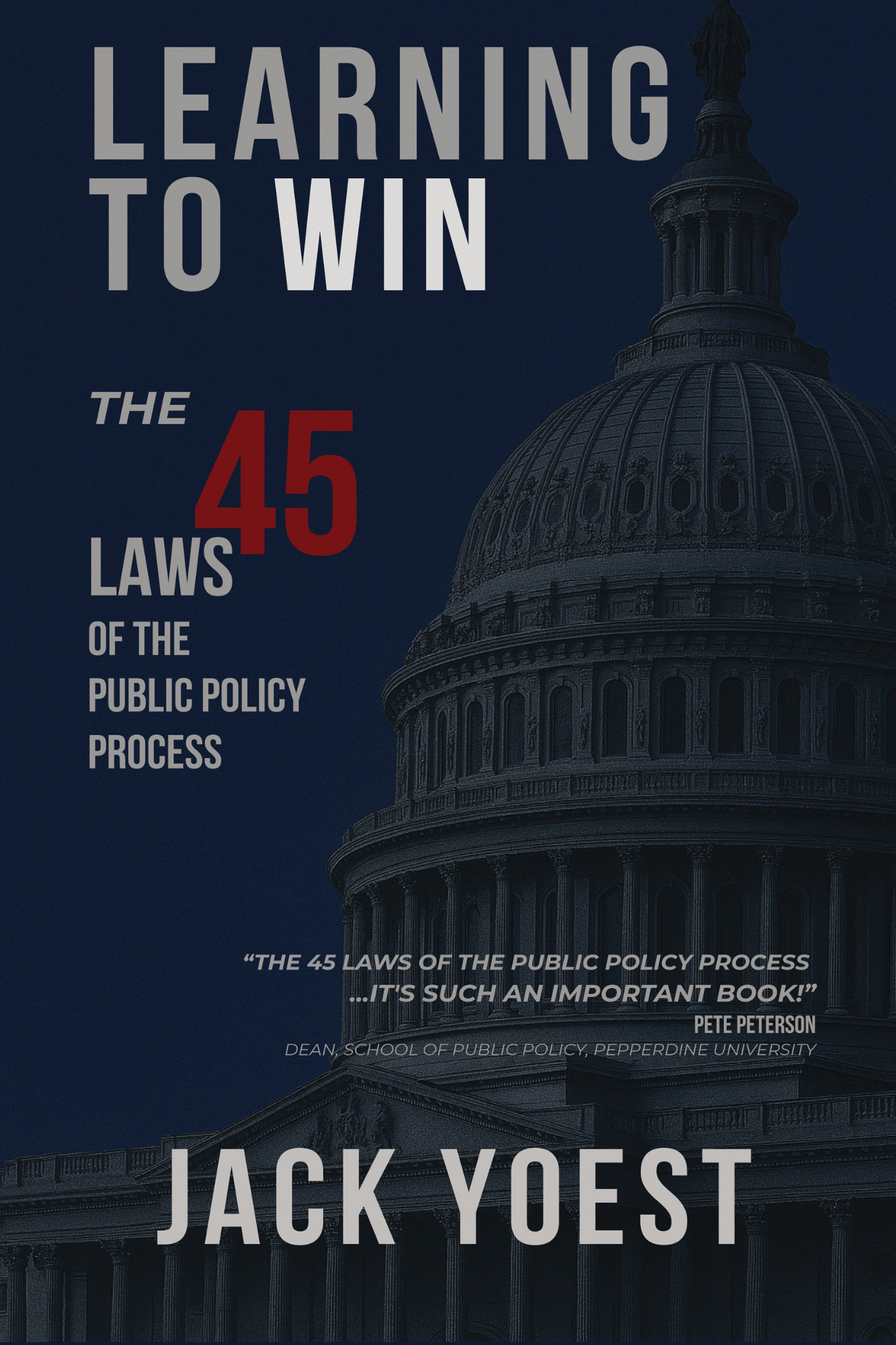 Learning to Win: The 45 Laws of the Public Policy Process