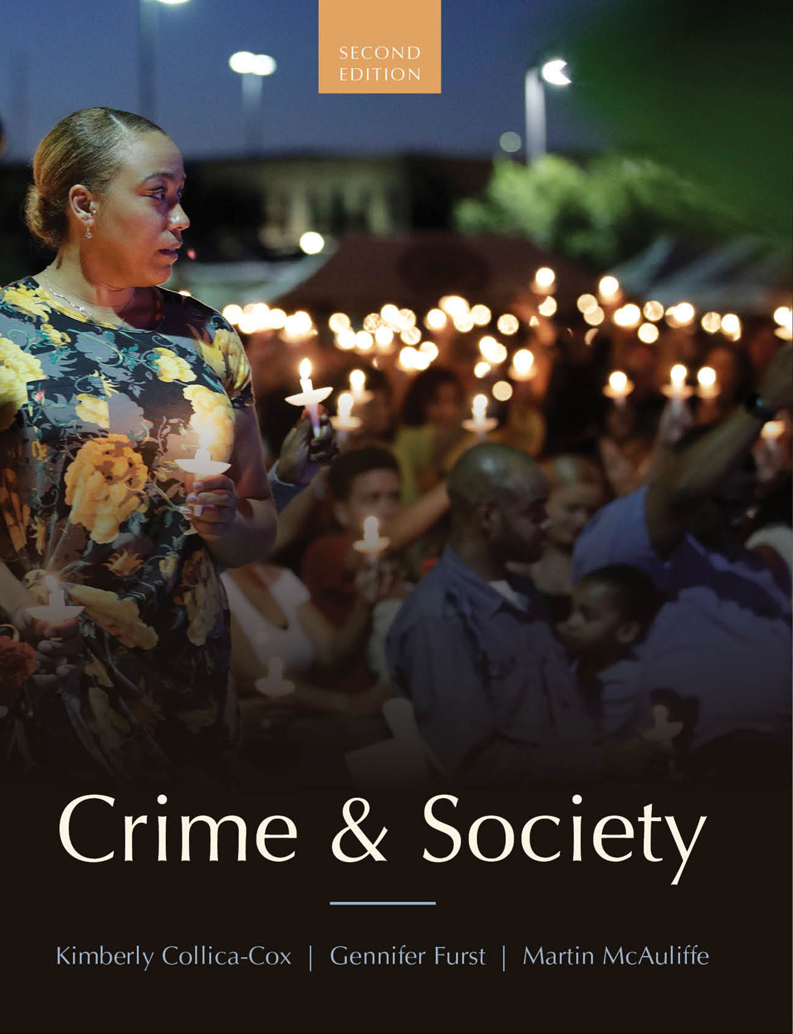 Crime and Society, Second Edition