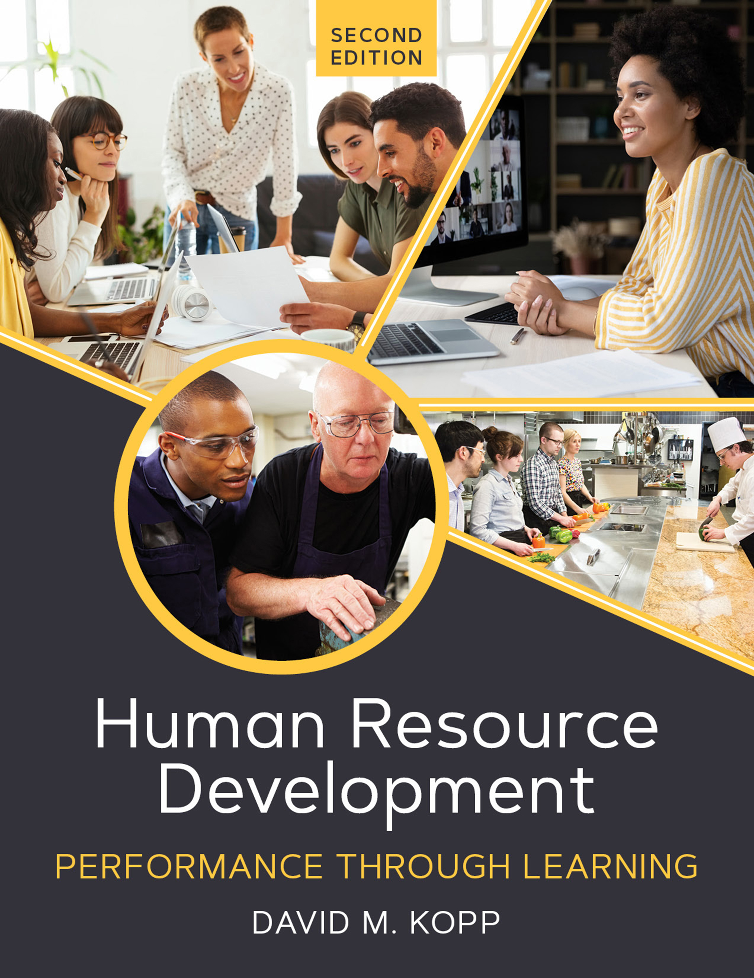 Human Resource Development: Performance Through Learning, Second Edition