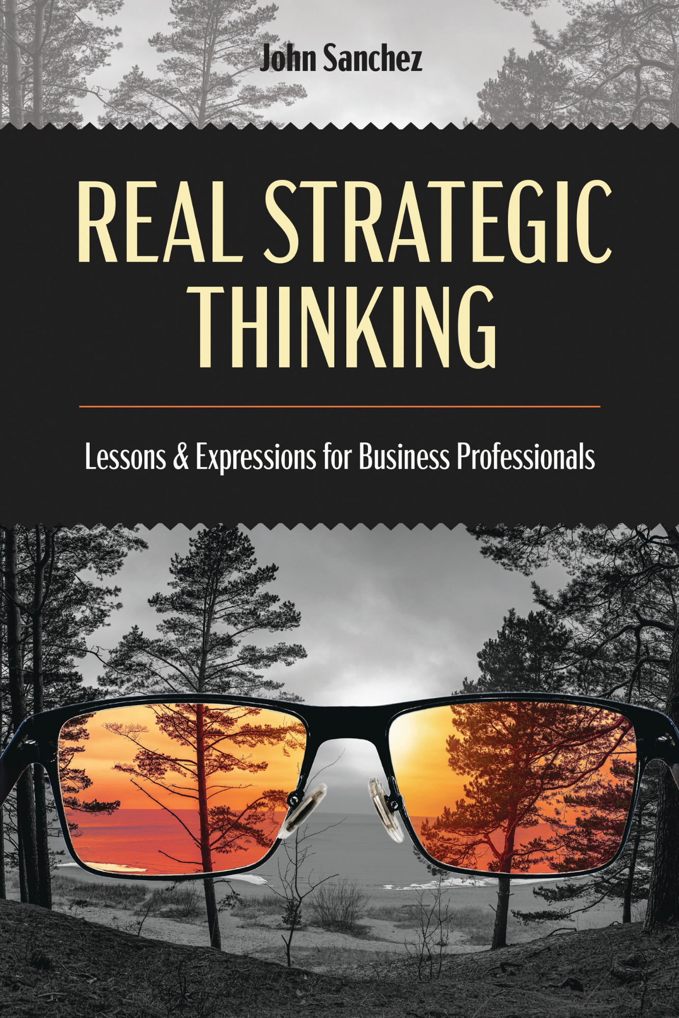 Real Strategic Thinking: Lessons & Expressions for Business Professionals